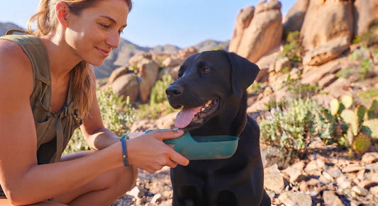 3-in-1 Portable Dog Water Bottle and Food Dispenser